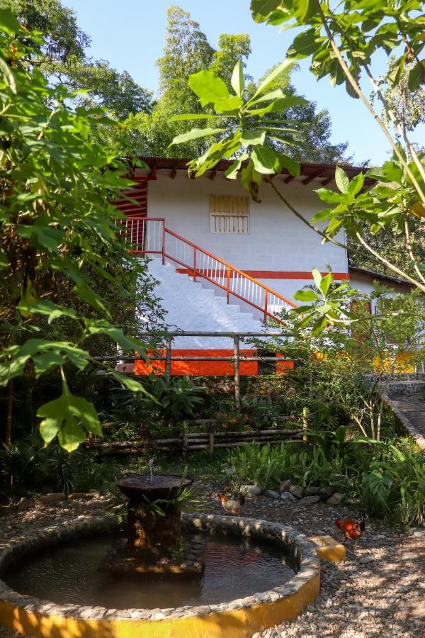Finca Los Abuelos - La Planta Concepcion Exterior photo